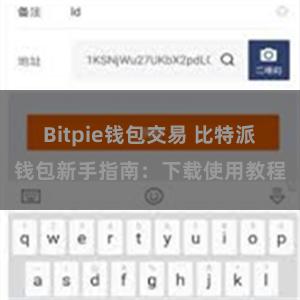 Bitpie钱包交易 比特派钱包新手指南：下载使用教程