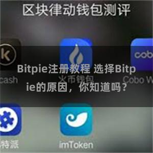 Bitpie注册教程 选择Bitpie的原因，你知道吗？