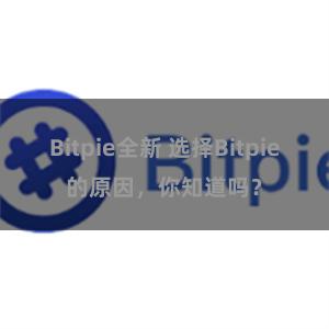 Bitpie全新 选择Bitpie的原因，你知道吗？