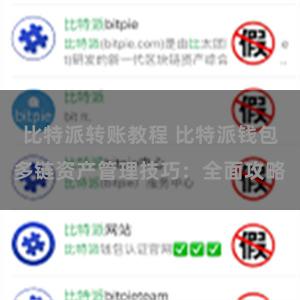 比特派转账教程 比特派钱包多链资产管理技巧：全面攻略