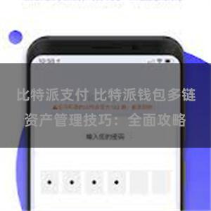 比特派支付 比特派钱包多链资产管理技巧：全面攻略