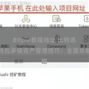 Bitpie教程地址 比特派钱包多链资产管理技巧：全面攻略