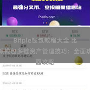 Bitpie钱包教程大全 比特派钱包多链资产管理技巧：全面攻略