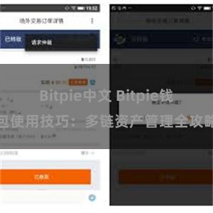 Bitpie中文 Bitpie钱包使用技巧：多链资产管理全攻略