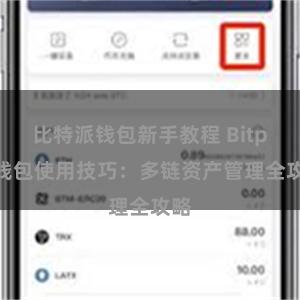 比特派钱包新手教程 Bitpie钱包使用技巧：多链资产管理全攻略