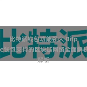 比特派钱包功能强大 Bitpie钱包支持的区块链网络全面解析