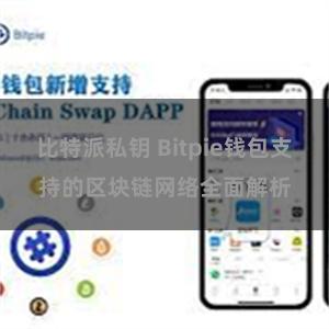 比特派私钥 Bitpie钱包支持的区块链网络全面解析