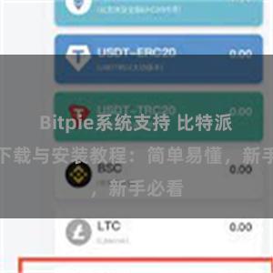 Bitpie系统支持 比特派钱包下载与安装教程：简单易懂，新手必看