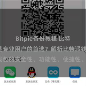 Bitpie备份教程 比特派钱包为何是专业用户的首选？解析比特派钱包的安全性、功能性、便捷性、支持性等优势。