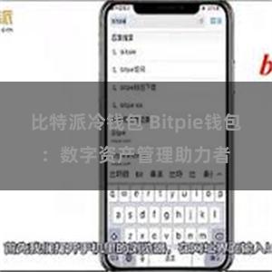 比特派冷钱包 Bitpie钱包：数字资产管理助力者