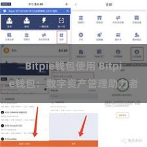 Bitpie钱包使用 Bitpie钱包：数字资产管理助力者