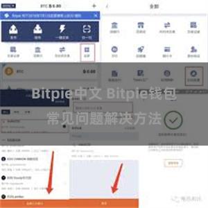 Bitpie中文 Bitpie钱包常见问题解决方法