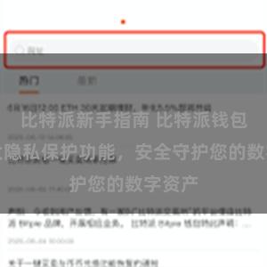 比特派新手指南 比特派钱包：强大隐私保护功能，安全守护您的数字资产