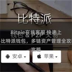 Bitpie在线客服 快速上手比特派钱包，多链资产管理全攻略