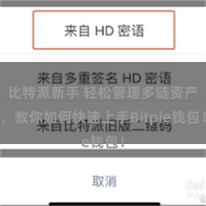 比特派新手 轻松管理多链资产，教你如何快速上手Bitpie钱包！