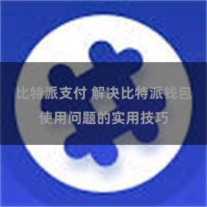 比特派支付 解决比特派钱包使用问题的实用技巧