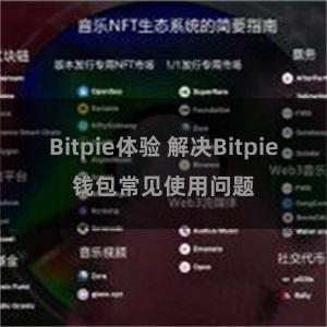 Bitpie体验 解决Bitpie钱包常见使用问题