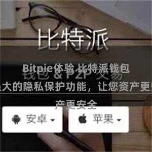 Bitpie体验 比特派钱包：强大的隐私保护功能，让您资产更安全