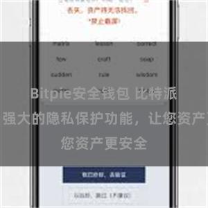 Bitpie安全钱包 比特派钱包：强大的隐私保护功能，让您资产更安全