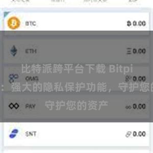 比特派跨平台下载 Bitpie钱包：强大的隐私保护功能，守护您的资产