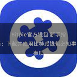 Bitpie官方钱包 新手指南：下载并使用比特派钱包必知事项