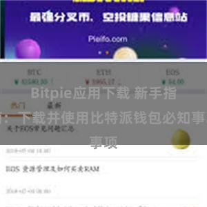 Bitpie应用下载 新手指南：下载并使用比特派钱包必知事项