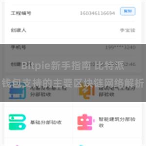 Bitpie新手指南 比特派钱包支持的主要区块链网络解析