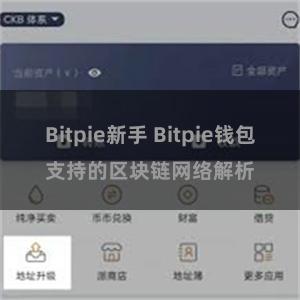 Bitpie新手 Bitpie钱包支持的区块链网络解析