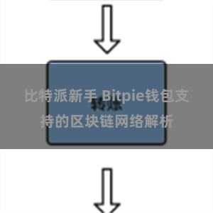 比特派新手 Bitpie钱包支持的区块链网络解析