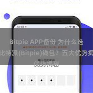 Bitpie APP备份 为什么选择比特派(Bitpie)钱包？五大优势揭秘