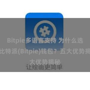 Bitpie多语言支持 为什么选择比特派(Bitpie)钱包？五大优势揭秘