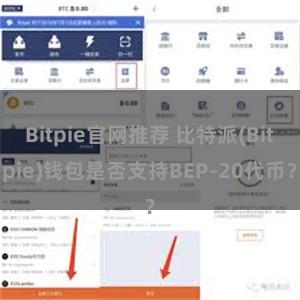 Bitpie官网推荐 比特派(Bitpie)钱包是否支持BEP-20代币？