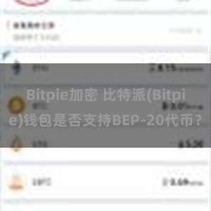 Bitpie加密 比特派(Bitpie)钱包是否支持BEP-20代币？