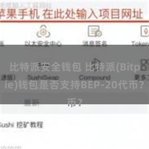 比特派安全钱包 比特派(Bitpie)钱包是否支持BEP-20代币？