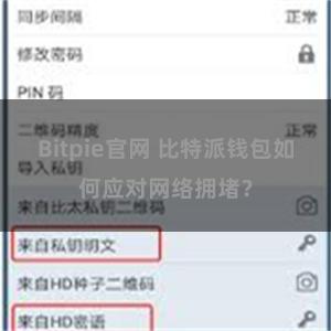 Bitpie官网 比特派钱包如何应对网络拥堵？