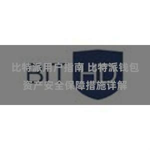 比特派用户指南 比特派钱包资产安全保障措施详解
