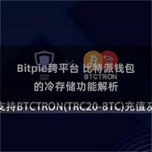 Bitpie跨平台 比特派钱包的冷存储功能解析