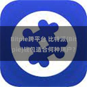 Bitpie跨平台 比特派(Bitpie)钱包适合何种用户？