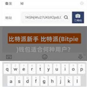 比特派新手 比特派(Bitpie)钱包适合何种用户？