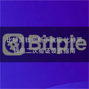 比特派钱包新手教程 比特派钱包二次验证设置指南