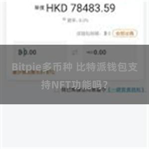 Bitpie多币种 比特派钱包支持NFT功能吗？