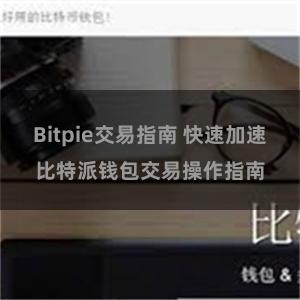 Bitpie交易指南 快速加速比特派钱包交易操作指南