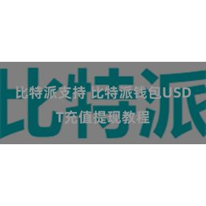 比特派支持 比特派钱包USDT充值提现教程