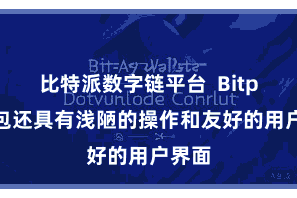  比特派数字链平台  Bitpie钱包还具有浅陋的操作和友好的用户界面