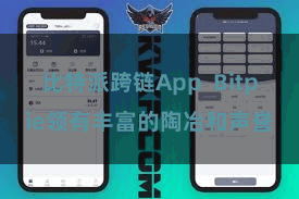   比特派跨链App  Bitpie领有丰富的陶冶和声誉
