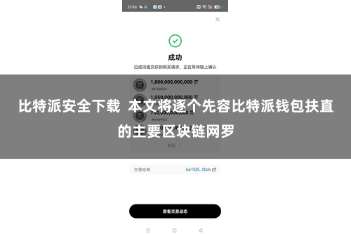   比特派安全下载  本文将逐个先容比特派钱包扶直的主要区块链网罗