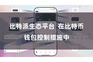 比特派生态平台  在比特币钱包控制措施中