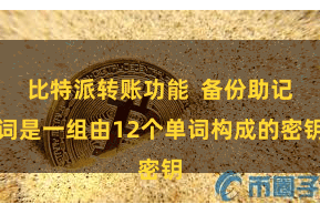 比特派转账功能  备份助记词是一组由12个单词构成的密钥