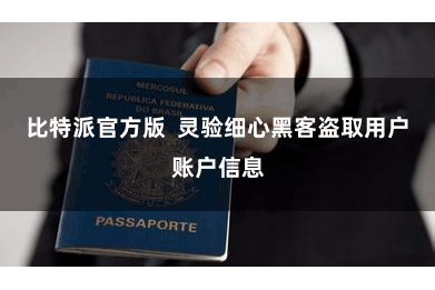 比特派官方版  灵验细心黑客盗取用户账户信息