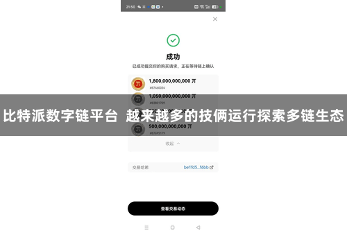 比特派数字链平台  越来越多的技俩运行探索多链生态